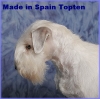 Ch. Made in Spain Topten