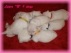 9 days old